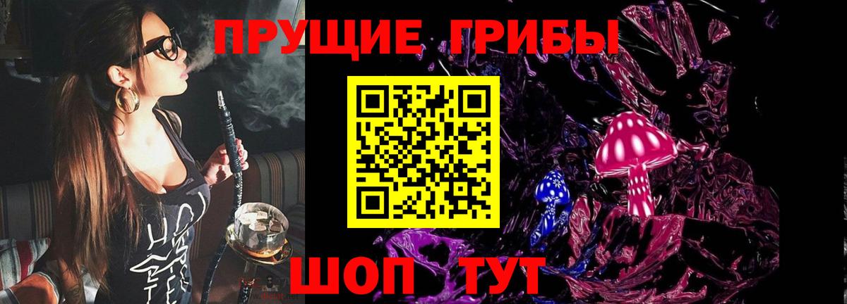 Псилоцибиновые грибы Psilocybe  Вход с VPN  Назарово  Псилоцибиновые грибы GOLDEN TEACHER 