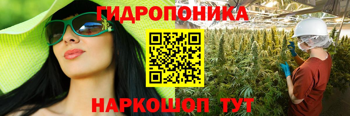 Бошки марихуана White Widow Назарово